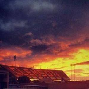 Meet your Posher, George